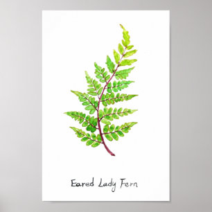 waterverf van de vogeldame fern poster
