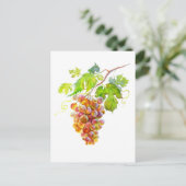 Waterverf van druiven. Art briefkaart (Staand voorkant)