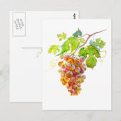 Waterverf van druiven. Art briefkaart (Voorkant / Achterkant)