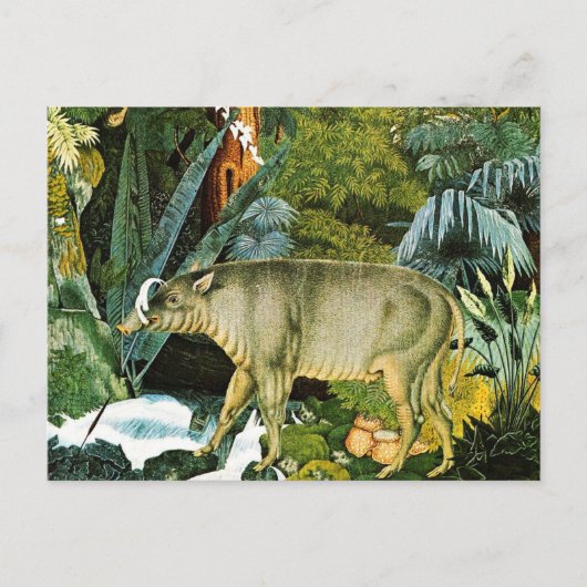 Waterverf van een Babirusa Wild Pig Briefkaart (Voorkant)
