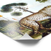 Waterverf van een Cheetah (Zotl) Foto Afdruk (Hoek)