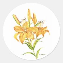 Waterverf van gele tijgerlelaarzen