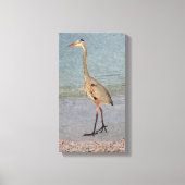 Waterverf van Great Blue Heron Canvas Afdruk (Voorkant)