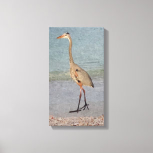 Waterverf van Great Blue Heron Canvas Afdruk