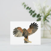 Waterverf van Hawk Flapping Wings Briefkaart (Staand voorkant)