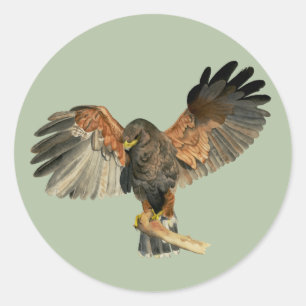 Waterverf van Hawk Flapping Wings Ronde Sticker