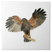 Waterverf van Hawk Flapping Wings Tegeltje (Voorkant)