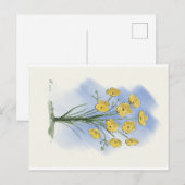 Waterverf van het fluitje briefkaart (Voorkant / Achterkant)