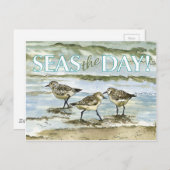 Waterverf van het strand van Sandpeper Briefkaart (Voorkant / Achterkant)