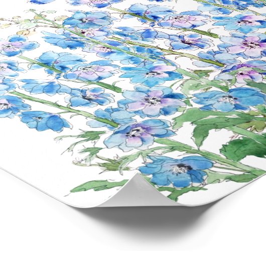 waterverf van het veld blauwe en paarse larkspur poster (Hoek)