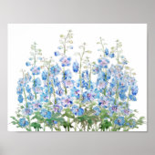 waterverf van het veld blauwe en paarse larkspur poster (Voorkant)