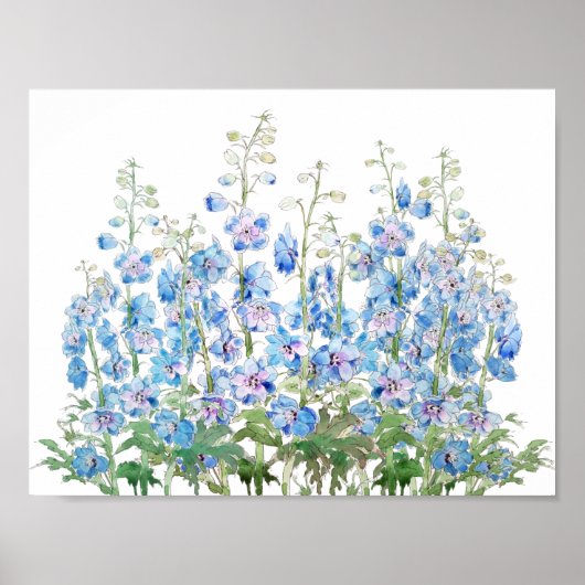 waterverf van het veld blauwe en paarse larkspur poster (Voorkant)