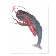 Waterverf van inktvis en walvis Kunst afdrukken