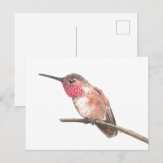 Waterverf van kalkoenen briefkaart (Voorkant / Achterkant)