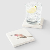 Waterverf van kalkoenen stenen onderzetter (Zijkant)