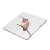 Waterverf van kalkoenen tegeltje (Zijkant)