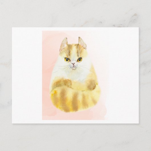 Waterverf van katten briefkaart (Voorkant)