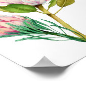Waterverf van King Protea Flowers Poster (Hoek)
