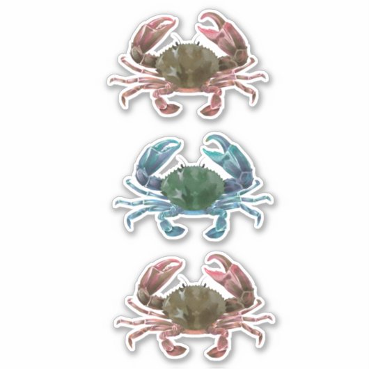 Waterverf van krab Schaaldieren Sticker (Voorkant)
