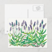 Waterverf van lavender Flowers om kruidenkunst te  Briefkaart (Voorkant / Achterkant)