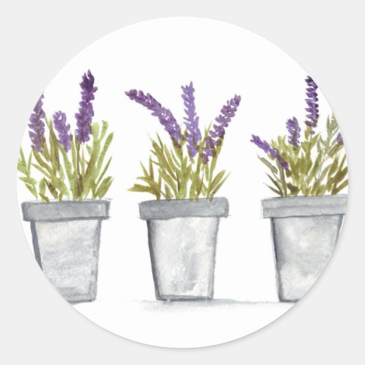 Waterverf van lavenderkruidpotten paars ronde sticker (Voorkant)
