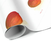 Waterverf van mango-vruchten cadeaupapier (Rol Hoek)