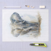 Waterverf van olifanten tissuepapier (Craft)