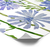 waterverf van paarse cichorei poster (Hoek)