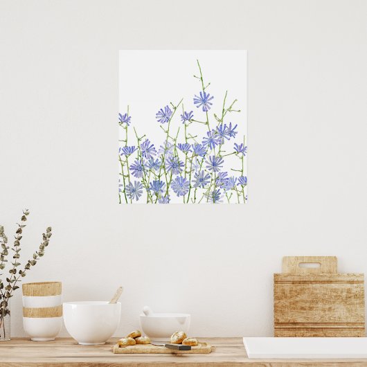 waterverf van paarse cichorei poster (Keuken)