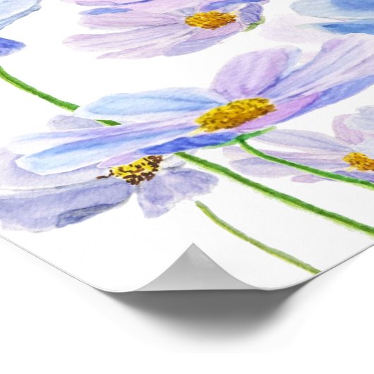 waterverf van paarse en blauwe kosmosbloem poster (Hoek)
