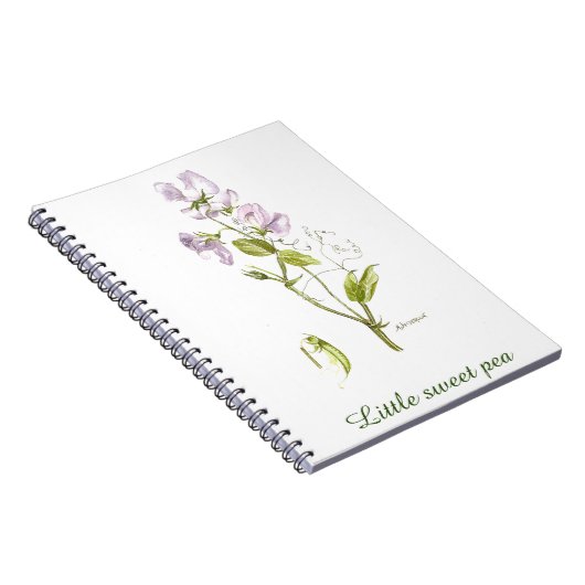 waterverf van paarse en groene zoeterwten notitieboek (Rechterzijde)