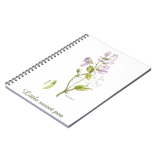 waterverf van paarse en groene zoeterwten notitieboek (Linkerzijde)