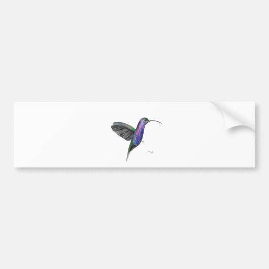 waterverf van Paarse kolibrie Bumpersticker (Voorkant)