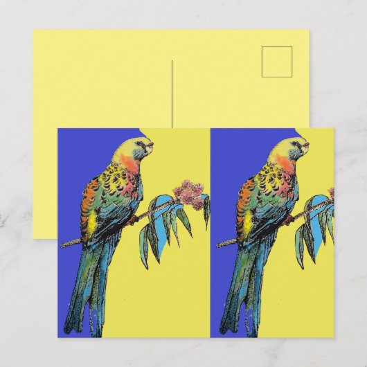 Waterverf van Parrot Rosella Briefkaart (Voorkant / Achterkant)