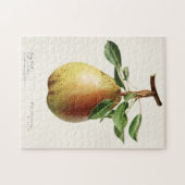 Waterverf van peren (Pyrus Communis) Legpuzzel (Horizontaal)