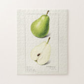 Waterverf van peren (Pyrus Communis) Legpuzzel (Verticaal)
