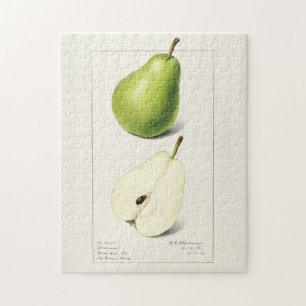 Waterverf van peren (Pyrus Communis) Legpuzzel