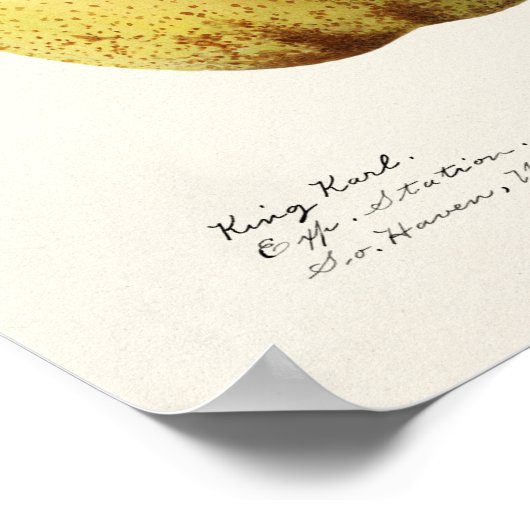 Waterverf van peren (Pyrus Communis) Poster (Hoek)