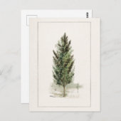 Waterverf van perenbomen (Pyrus communis) Briefkaart (Voorkant / Achterkant)