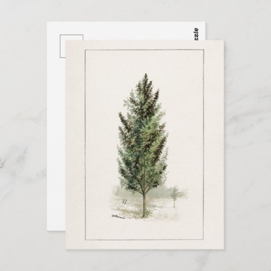 Waterverf van perenbomen (Pyrus communis) Briefkaart (Voorkant / Achterkant)