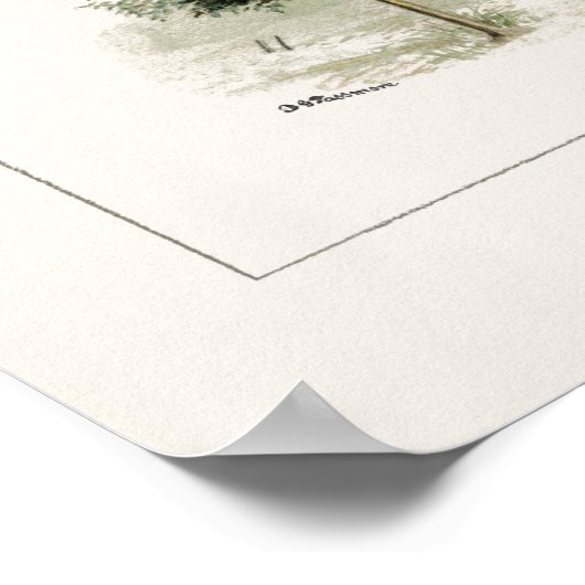 Waterverf van perenbomen (Pyrus communis) Poster (Hoek)