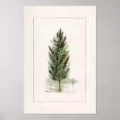 Waterverf van perenbomen (Pyrus communis) Poster (Voorkant)