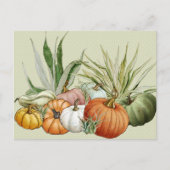 Waterverf van pompoenen en planten briefkaart (Voorkant)