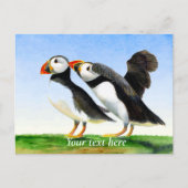 Waterverf van Puffin Bird Briefkaart (Voorkant)