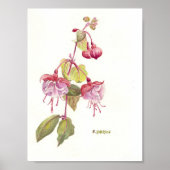 Waterverf van roze en paarse fuschia poster (Voorkant)