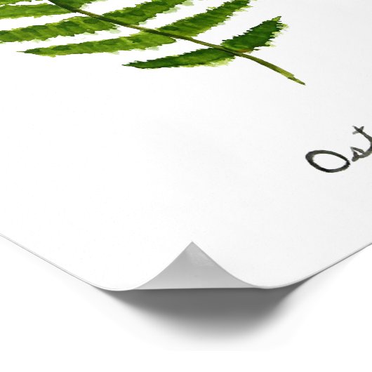 Waterverf van struisvogels poster (Hoek)