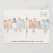 Waterverf van vogels Natuur Wilde dieren Briefkaart (Achterkant)