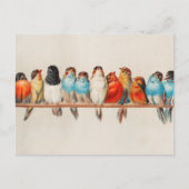 Waterverf van vogels Natuur Wilde dieren Briefkaart (Voorkant)