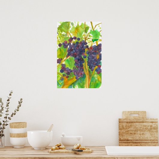 Waterverf van wijndruiven poster (Keuken)