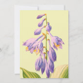 Waterverf van wilde bloemen Floral Garden Baby sho Kaart (Achterkant)